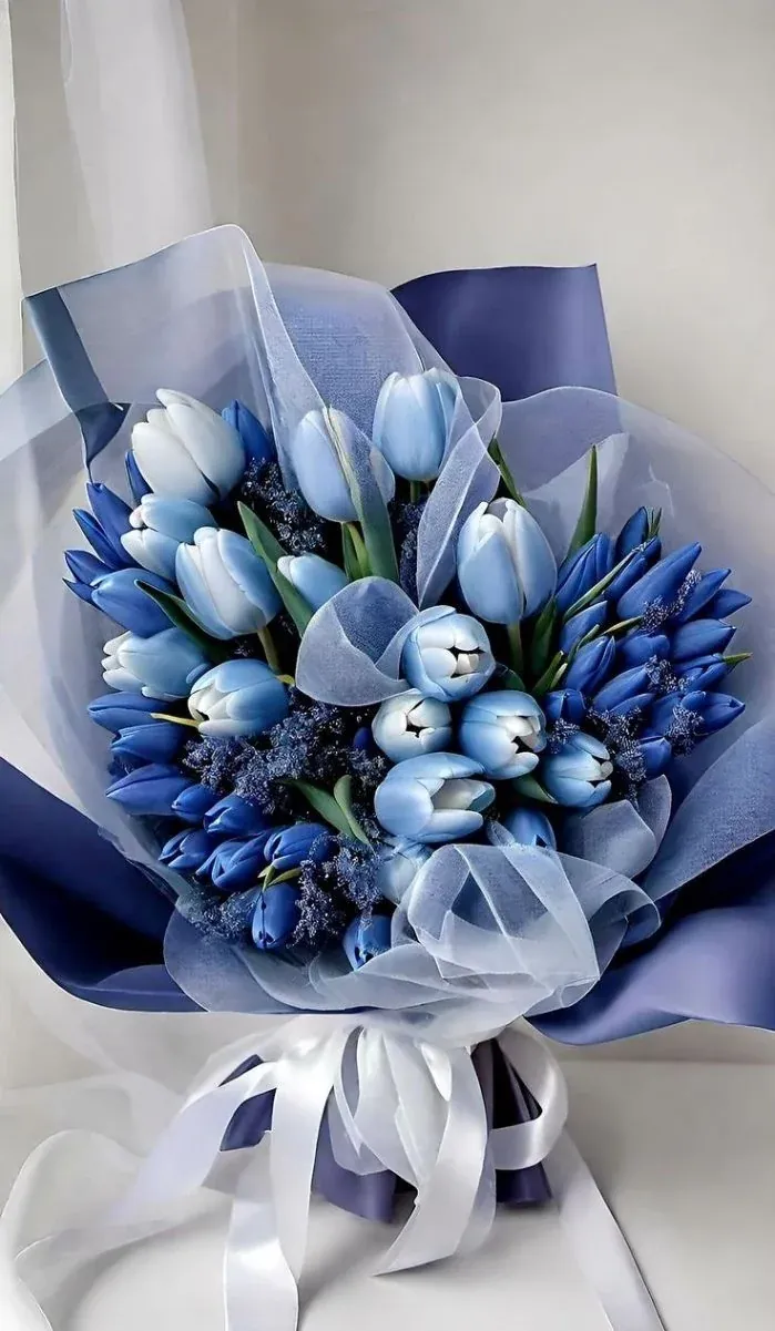 100+ hình ảnh hoa tulip sương sớm ngoạn mục · ảnh 1